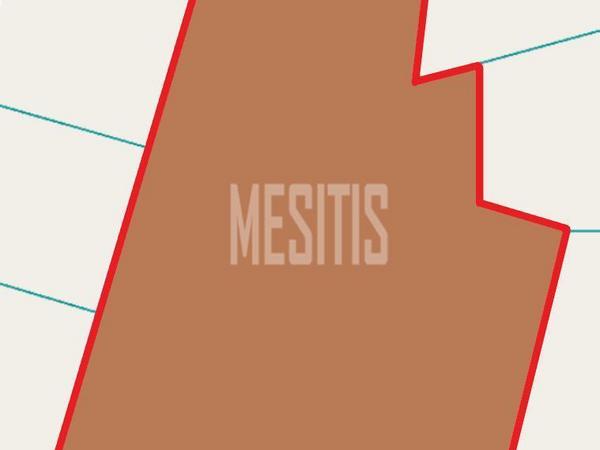 plot for sale mazotos larnaca 8903555 image 17388276