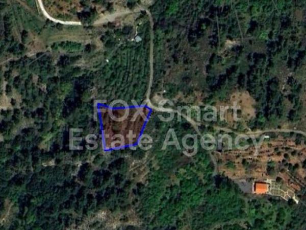 land for sale prodromos limassol 8244655 image 13837631