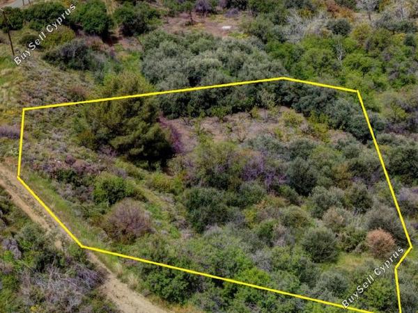 plot for sale pomos paphos 1908655 image 15525080