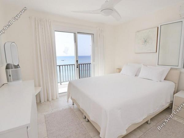 4 bedroom detached house for sale coral bay paphos 8395755 image 16217067