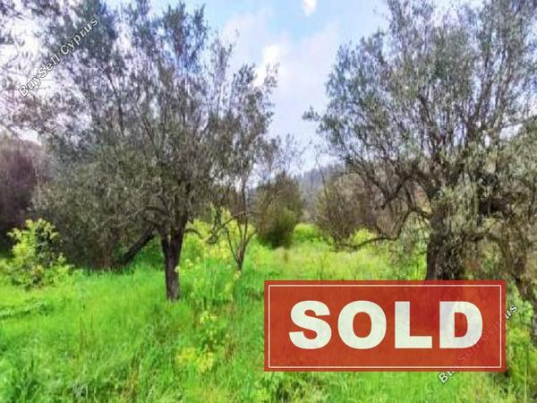 land sold kaliana nicosia 1877755 image 6984382