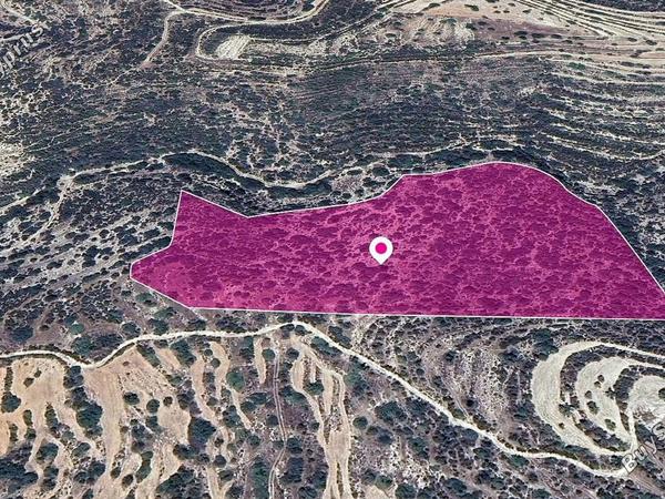 land under offer apesia limassol 1213755 image 16028145