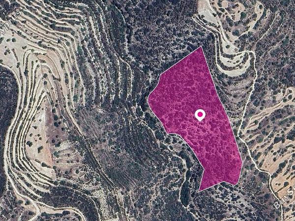 land under offer apesia limassol 1213755 image 16028149