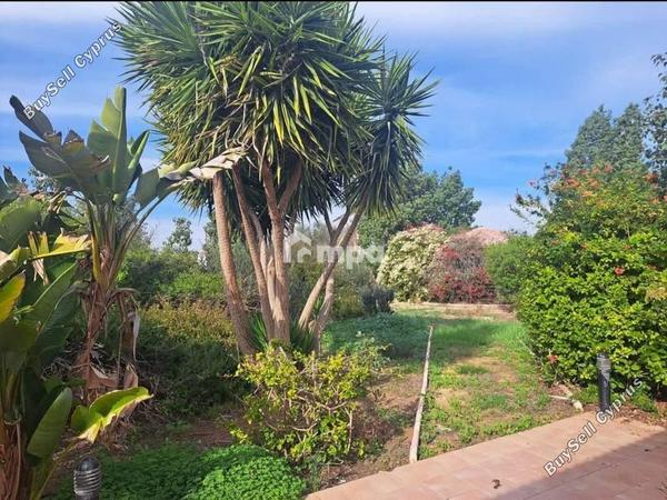 4 bedroom detached house for sale pano deftera nicosia 1730855 image 5567168