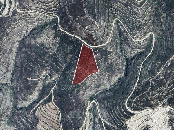 land for sale arsos lemesou limassol 8531855 image 15467453