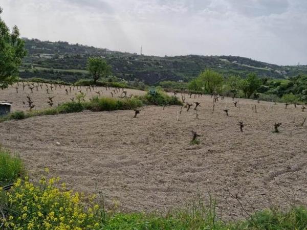 land for sale tsada paphos 8529855 image 15457857