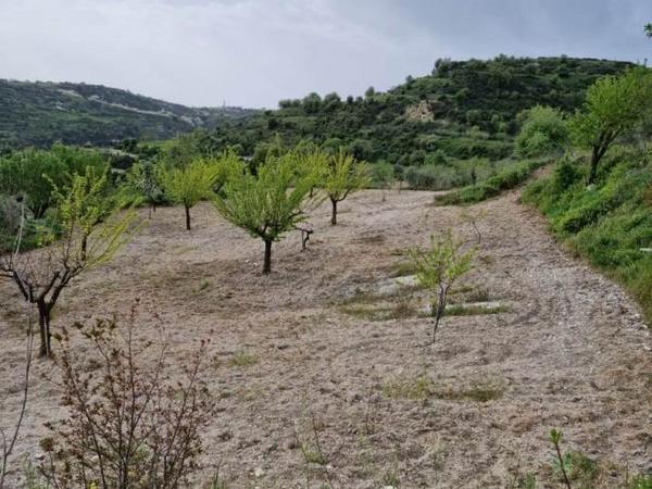 land for sale tsada paphos 8529855 image 15457858