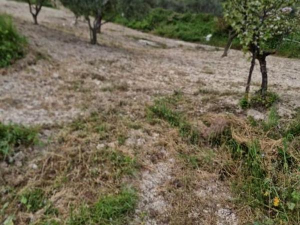 land for sale tsada paphos 8529855 image 15457859