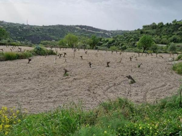 land for sale tsada paphos 8529855 image 15457860