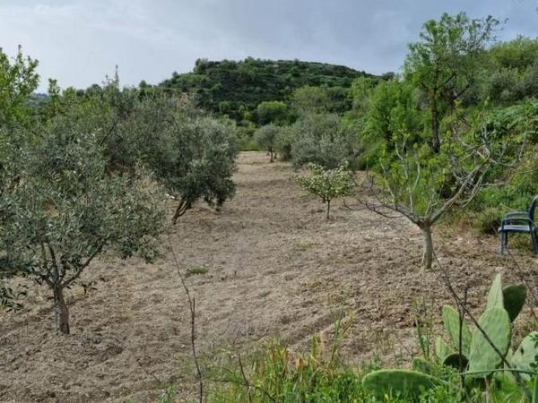 land for sale tsada paphos 8529855 image 15457862