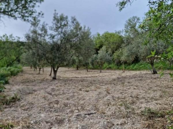 land for sale tsada paphos 8529855 image 15457863
