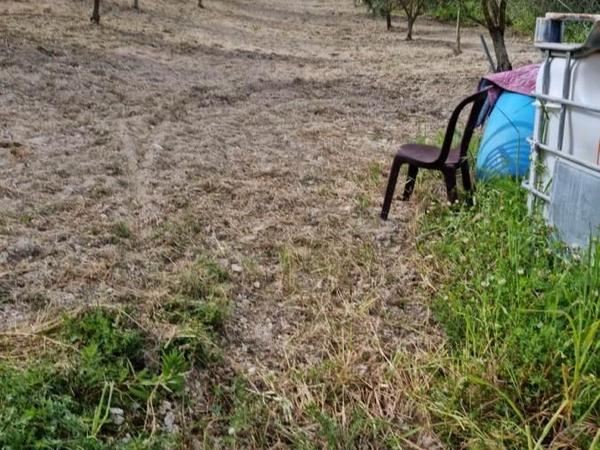 land for sale tsada paphos 8529855 image 15457864