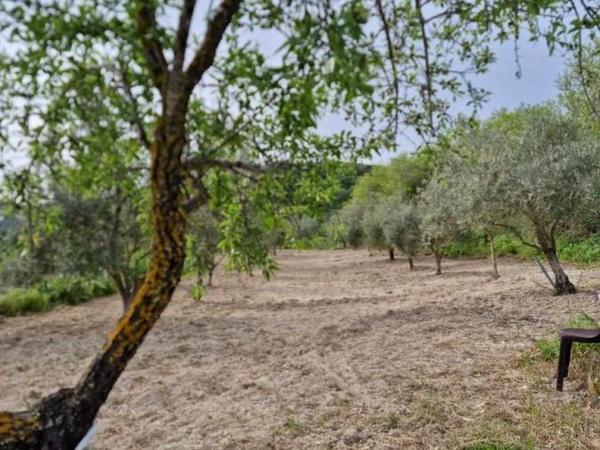 land for sale tsada paphos 8529855 image 15457865