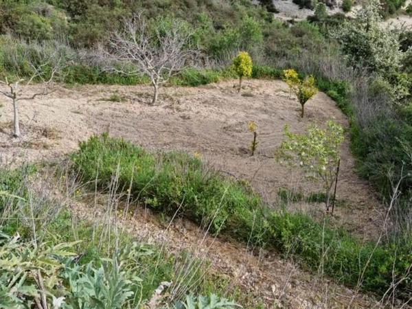 land for sale tsada paphos 8529855 image 15457866