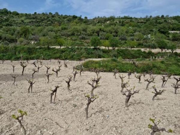 land for sale tsada paphos 8529855 image 15457867