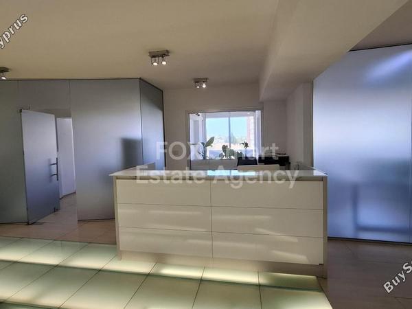 studio office for rent parissinos nicosia 8254855 image 13896642