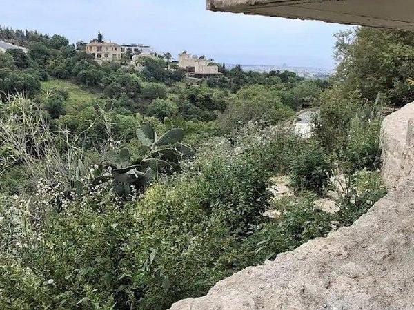 3 bedroom detached house for rent mesogi paphos 8883955 image 17285126