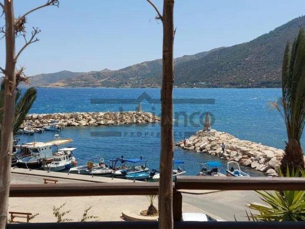 4 bedroom detached house for sale pomos paphos 8744955 image 16427620