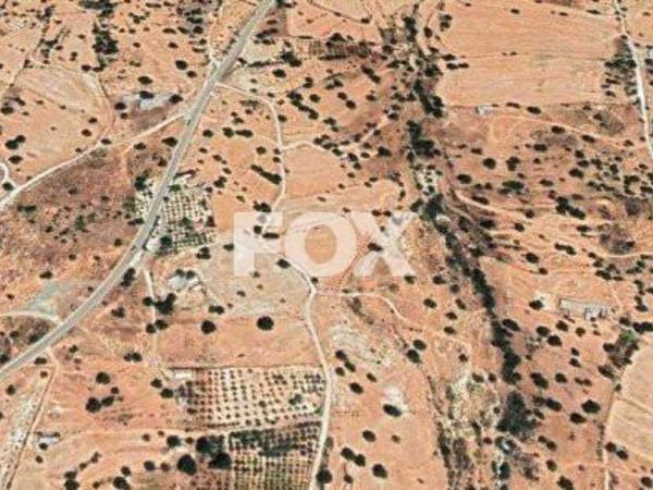 land for sale pachna limassol 1146955 image 5515365