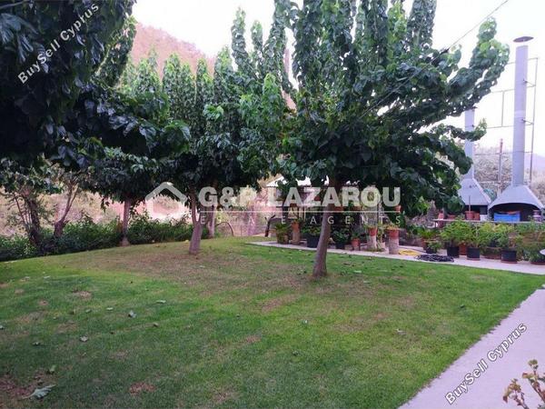 studio restaurant for sale agios epifanios oreinis nicosia 7591955 image 9716338