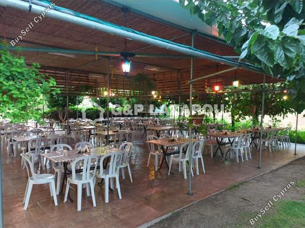 studio restaurant for sale agios epifanios oreinis nicosia 7591955 image 9716341