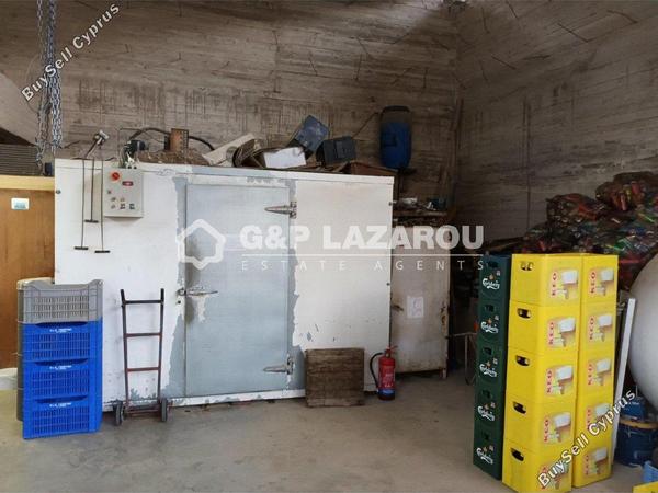 studio restaurant for sale agios epifanios oreinis nicosia 7591955 image 9716359