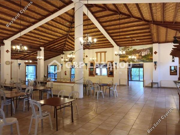 studio restaurant for sale agios epifanios oreinis nicosia 7591955 image 9716378