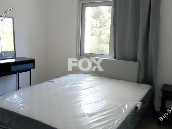 2 bedroom apartment for rent agios spyridonas limassol 1842065 image 14598822