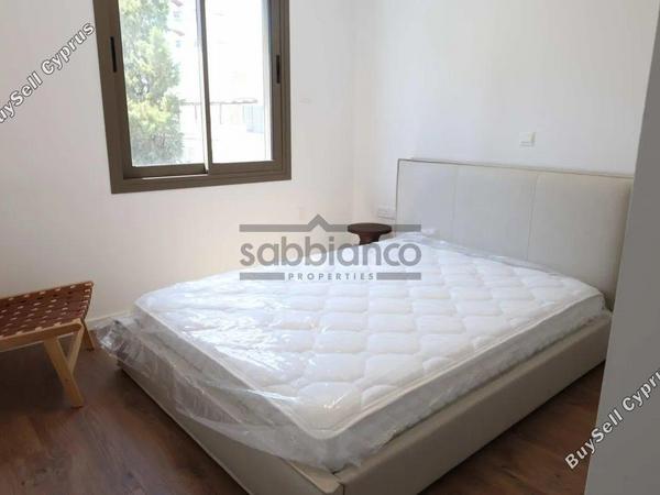 3 bedroom apartment for rent agios dometios nicosia 8749065 image 16524269