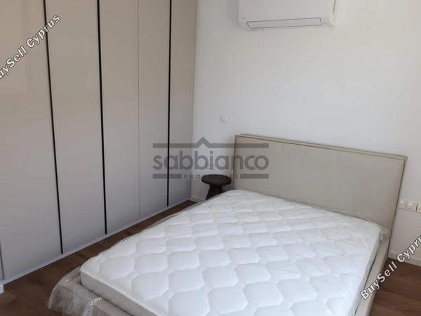 3 bedroom apartment for rent agios dometios nicosia 8749065 image 16524272