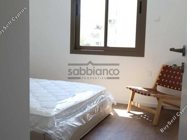 3 bedroom apartment for rent agios dometios nicosia 8749065 image 16524273