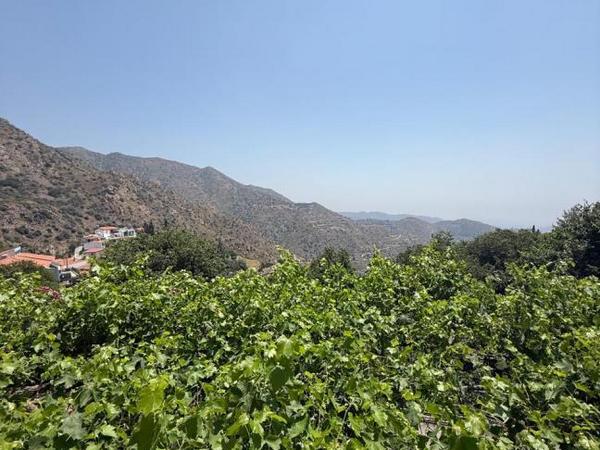 3 bedroom town house for sale odou larnaca 1936065 image 12596655