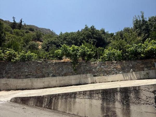 3 bedroom town house for sale odou larnaca 1936065 image 12596670
