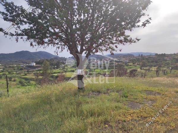 4 bedroom detached house for sale eptagoneia limassol 1459065 image 12577074