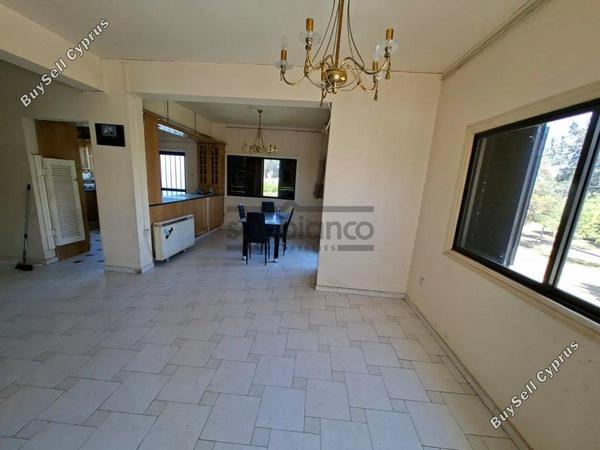 studio shop for sale faneromeni larnaca 8753065 image 16507047