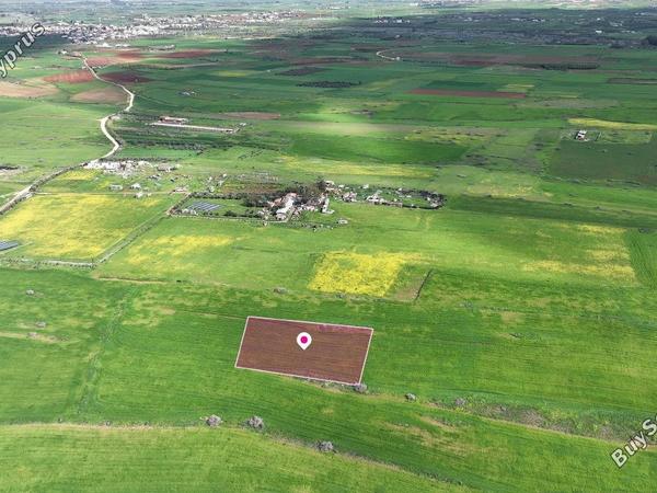 land for sale peristerona lefkosias nicosia 8249165 image 13900502