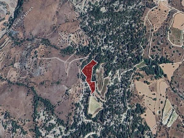 land for sale salamiou paphos 8711165 image 17010261