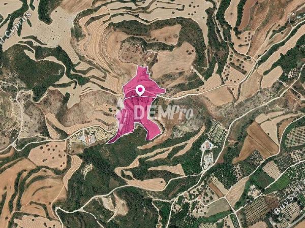 land for sale skoulli paphos 7829165 image 15636182