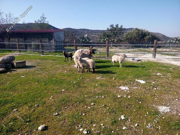2 bedroom detached house for sale asgata limassol 1752265 image 13469377