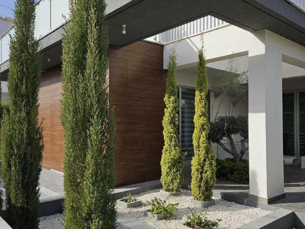 3 bedroom detached house for sale agios ioannis limassol 1679265 image 4357224