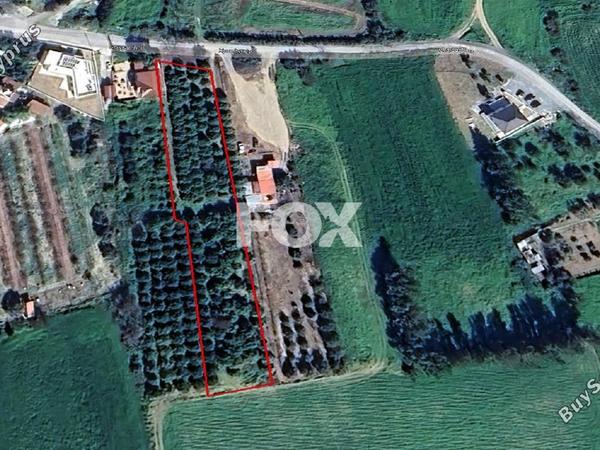 land for sale kolossi limassol 7867265 image 13291900