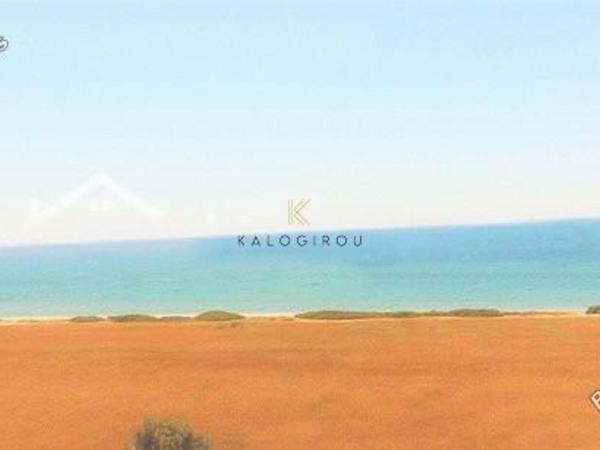 land for sale mazotos larnaca 1196265 image 5593126