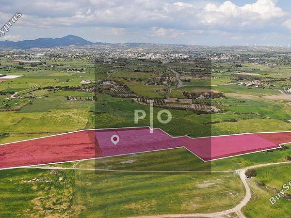 land for sale mazotos larnaca 8275265 image 16302373