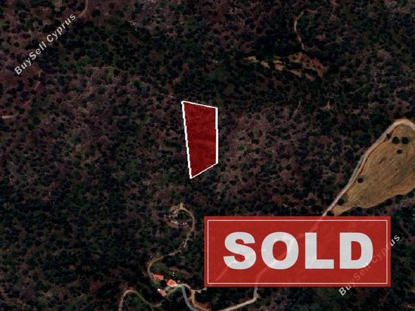 land sold kapedes nicosia 1336265 image 9439583