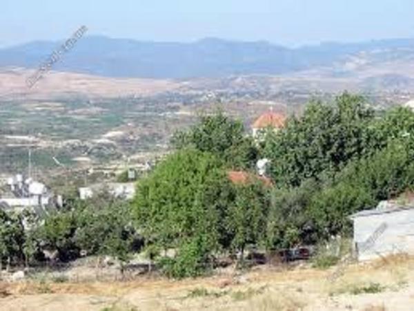 plot for sale koili paphos 618265 image 302408