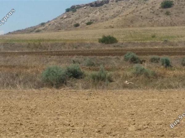 land for sale nisou nicosia 1098365 image 16180137