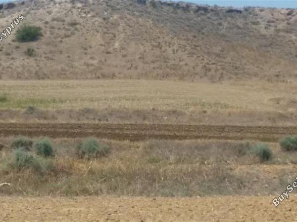 land for sale nisou nicosia 1098365 image 16180138