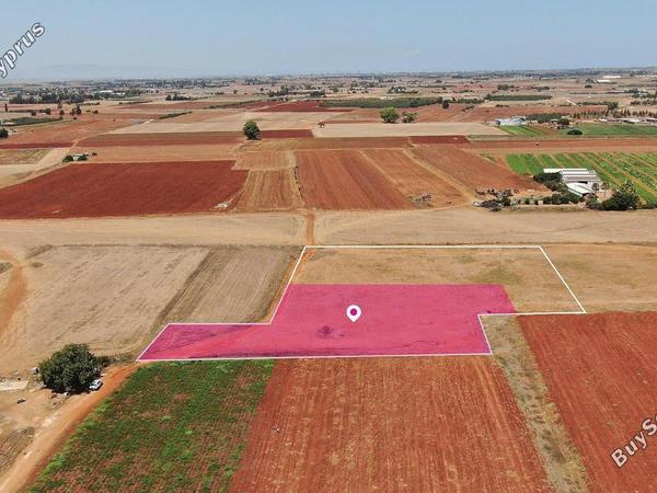 land under offer avgorou famagusta 1603365 image 15666446