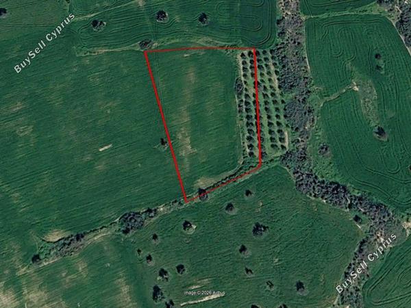 land for sale agios theodoros larnacas larnaca 8554465 image 15554096