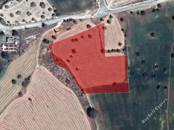 land for sale anglisides larnaca 7738465 image 12561360